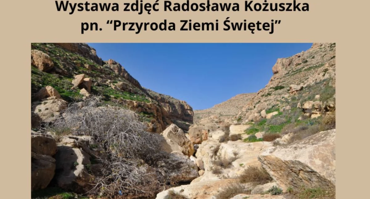 Migracje bez paszportu – wystawa przyrodnicza w Bydgoszczy o Ziemi Świętej i granicach natury