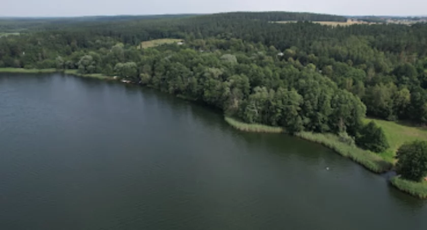 Straż leśna i susza: Bydgoskie nadleśnictwa w stanie najwyższej gotowości