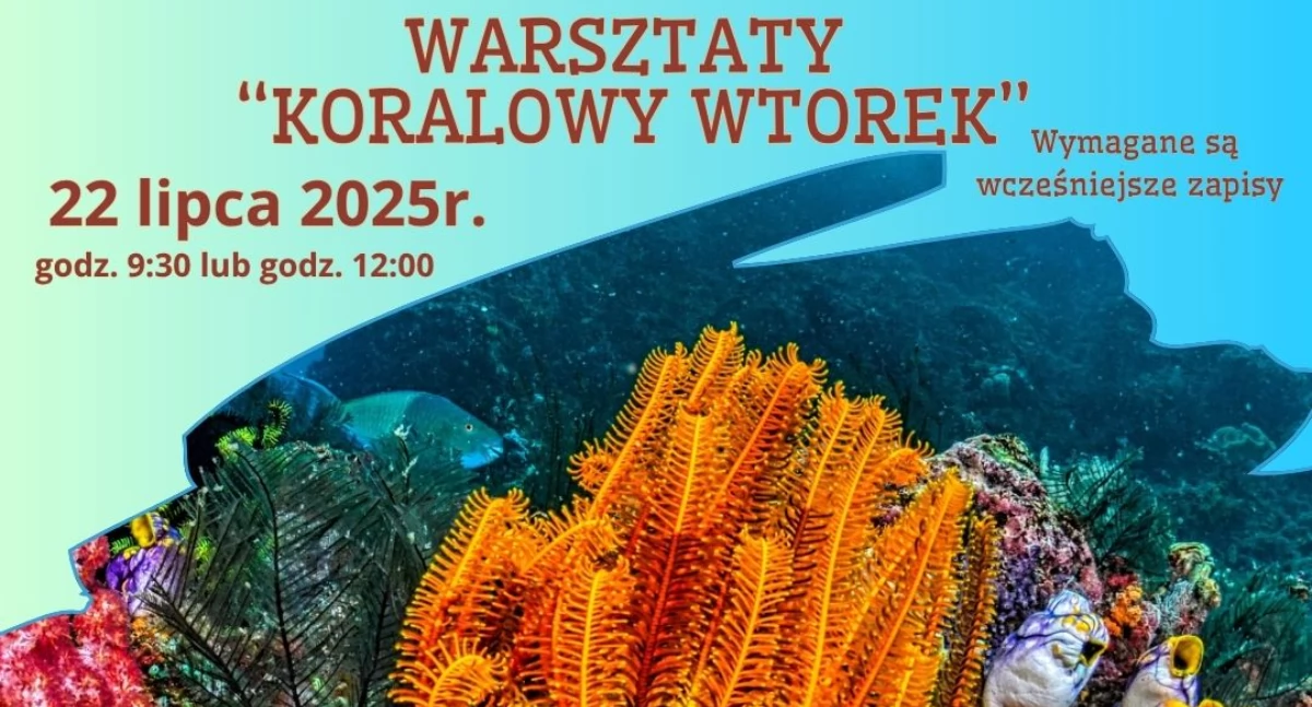 Jak Zoo w Bydgoszczy uczy o rafach bez kropli wody z morza? | Edukacyjne warsztaty o rafach koralowych w Myślęcinku