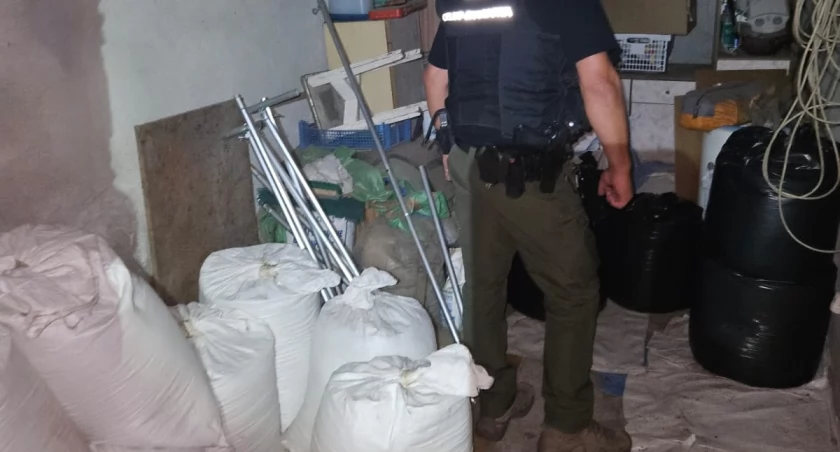 Pod Włocławkiem KAS i CBŚP przejęły 1,2 t tytoniu