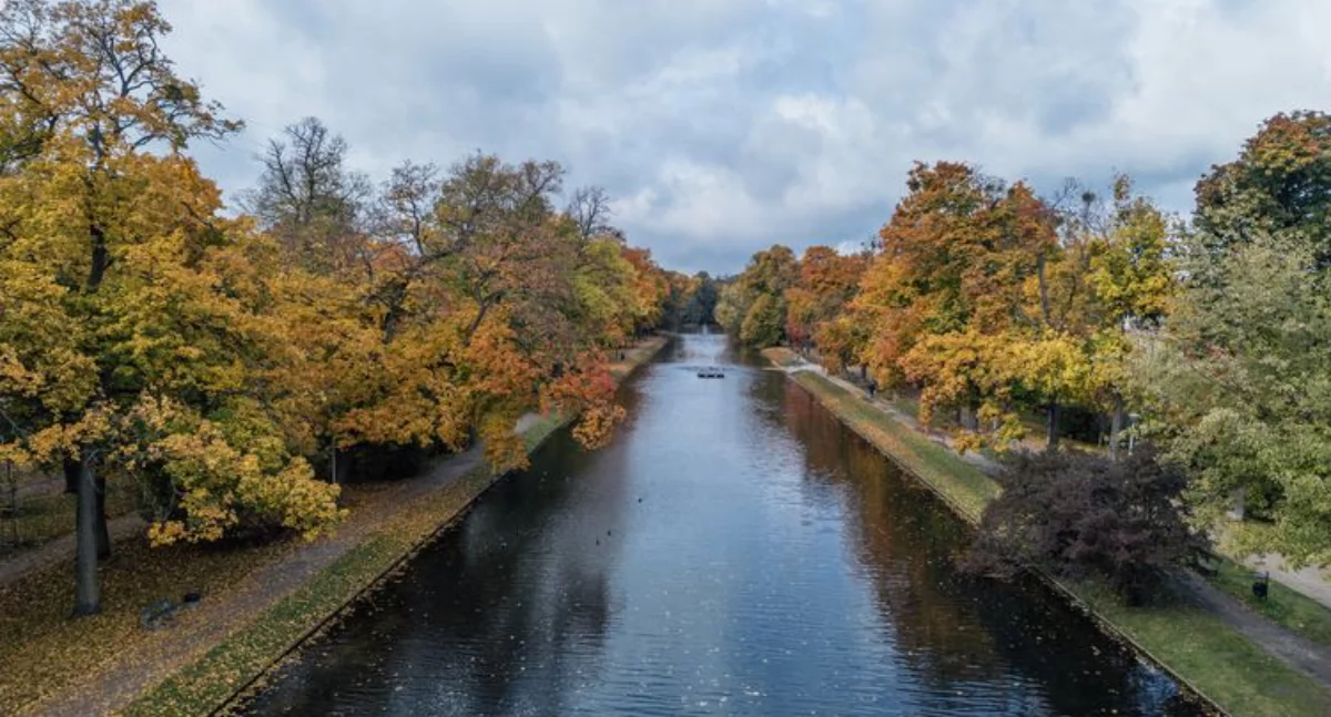 Weekend 24–26 października: Bydgoszcz gra, tańczy i odkrywa