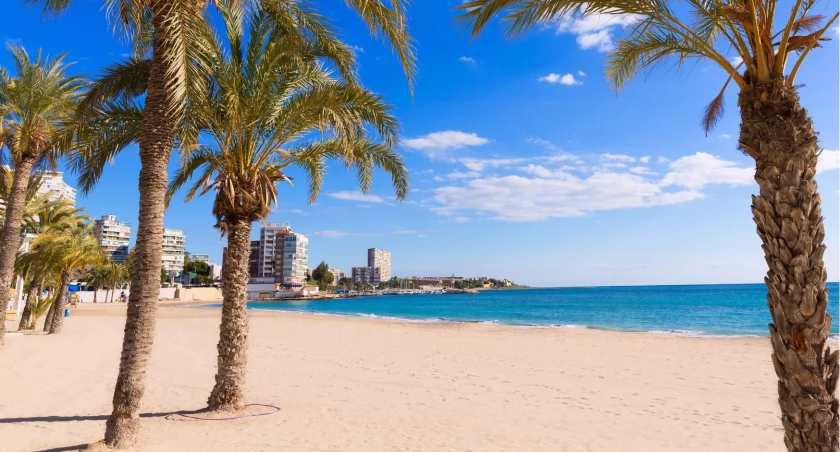 Zima na bydgoskim lotnisku: Alicante, Frankfurt, Warszawa