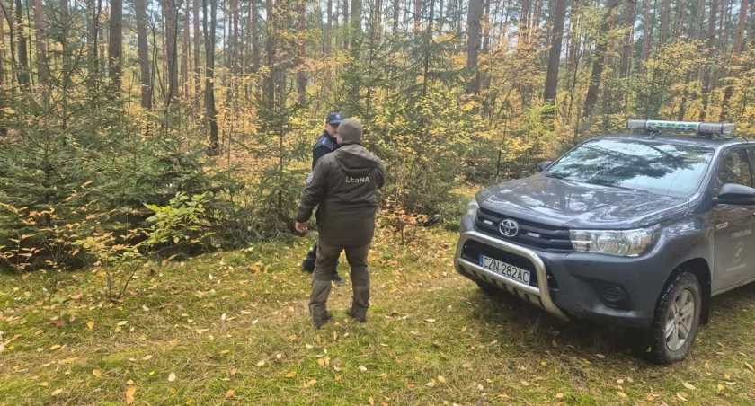 Stroisz 2025 w Mogilnie i Dąbrowie: wspólne patrole w lasach