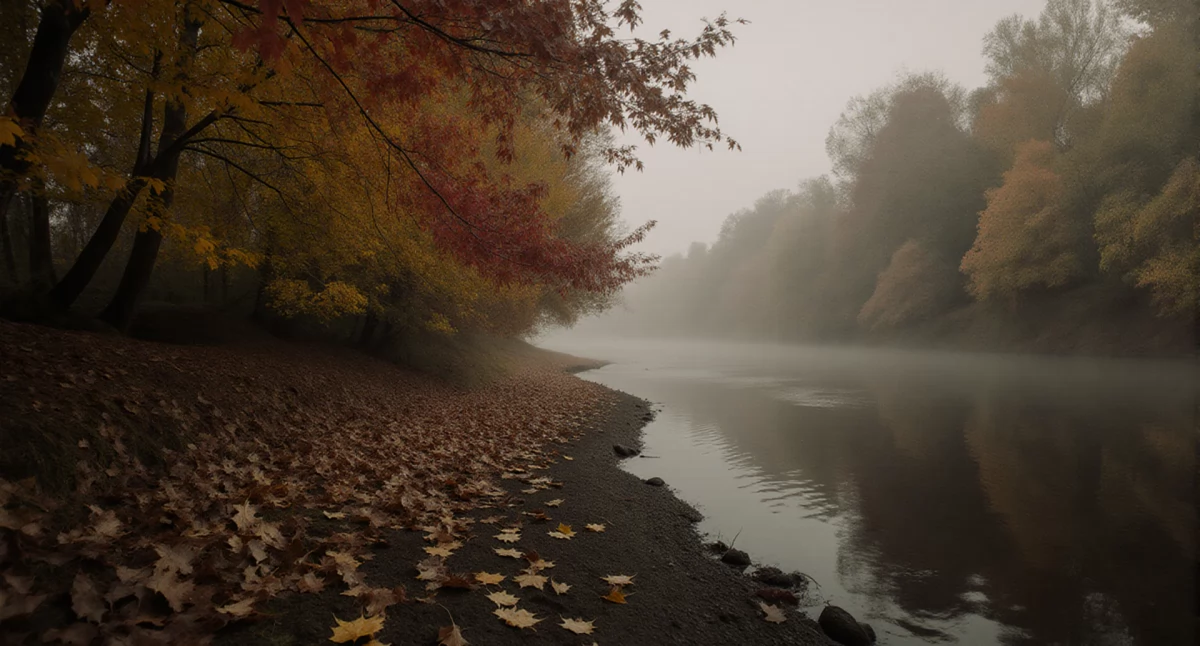Pogoda na dziś: Bydgoszcz bez deszczu, chmury i 12.4°C