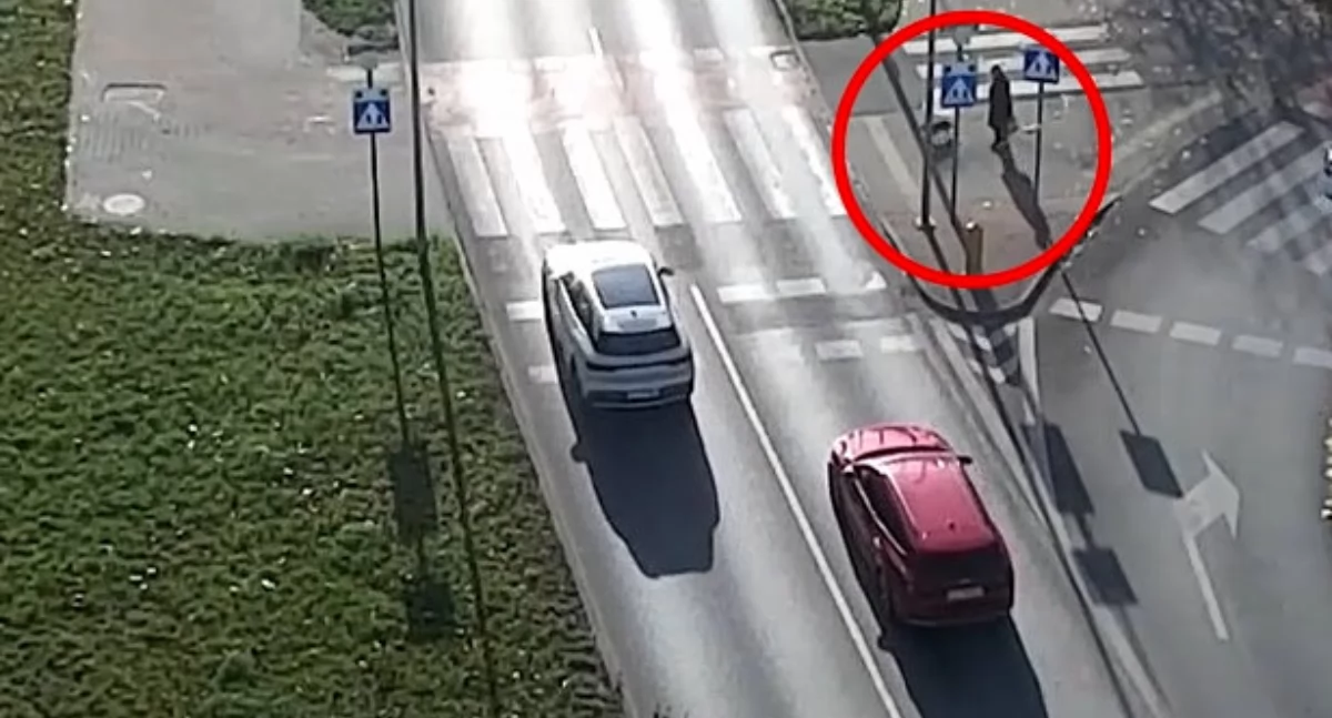 Bezpieczny pieszy w Bydgoszczy: 40 wykroczeń w jeden dzień