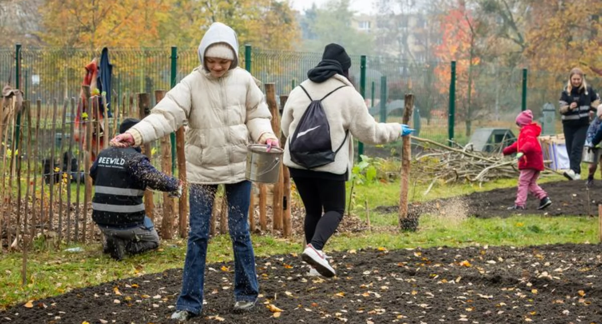 Nowy ogród biocenotyczny w Bydgoszczy. Pomoc dla pszczół
