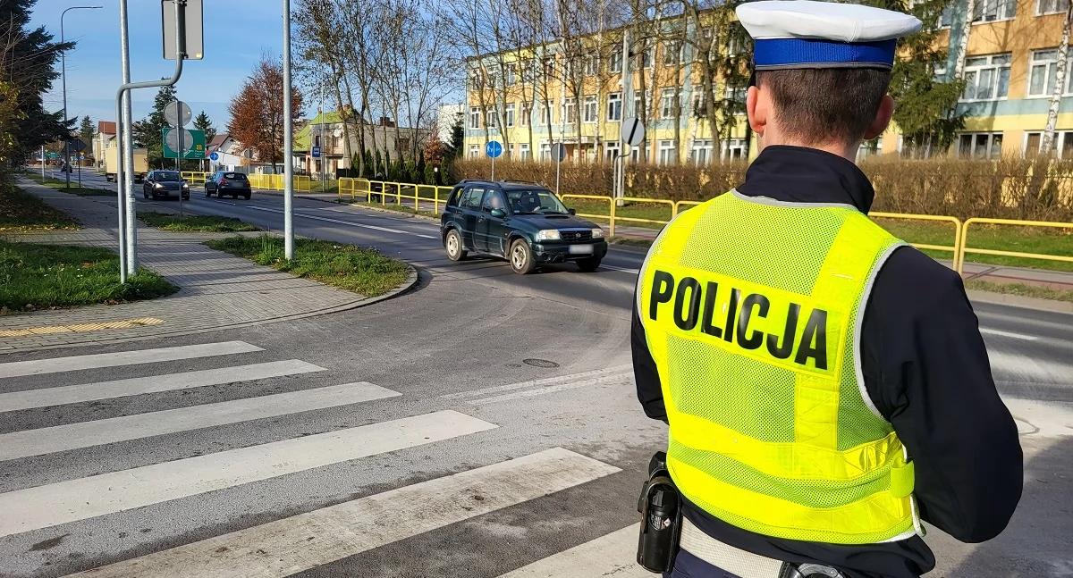 Kujawsko-Pomorskie: 292 wykroczenia wobec pieszych w jeden dzień