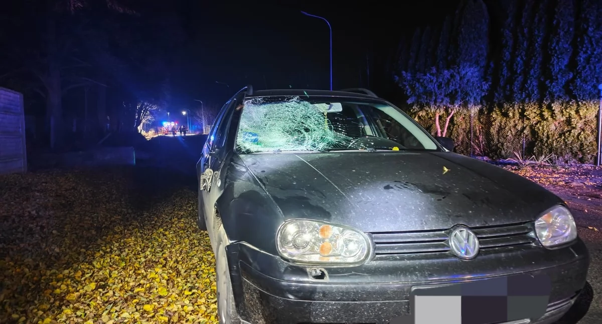 Potrącenie 15-latki w Radomicach. Kierowca zatrzymany