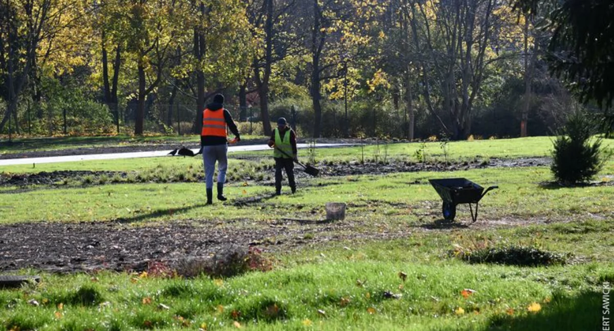 Park Witosa przyspiesza. II etap prac kilka miesięcy wcześniej