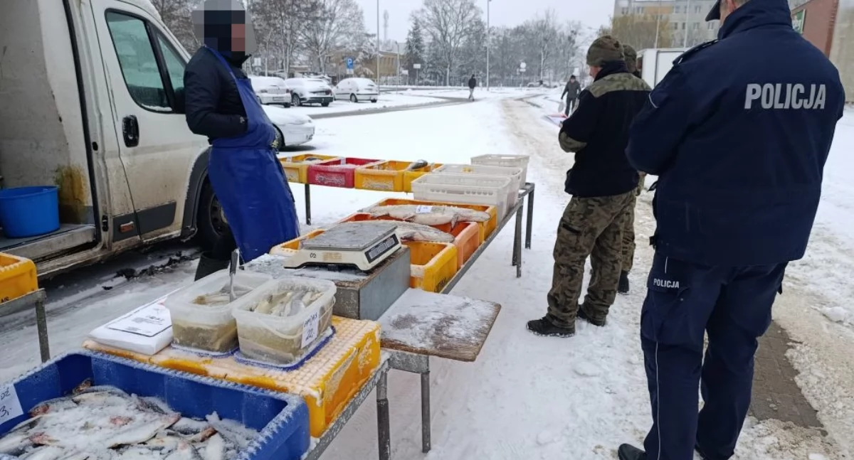 Kontrole ryb na targu w Kruszwicy. Policja sprawdza dokumenty i lód