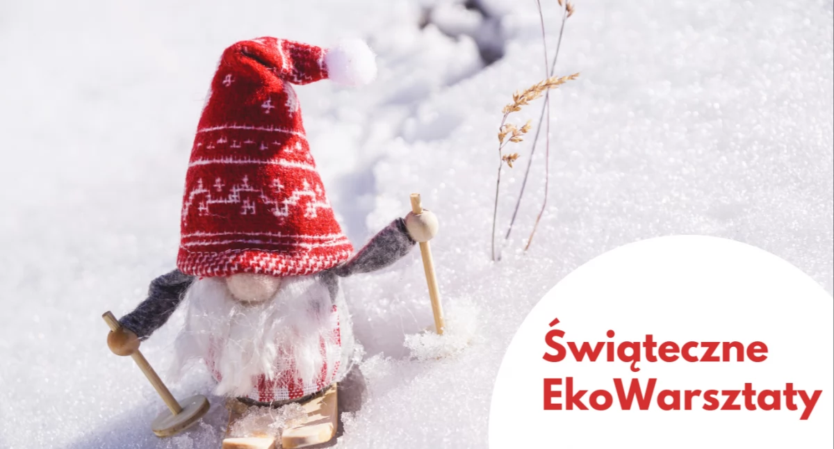Zimowe EkoDeko w Bydgoszczy. Darmowe warsztaty i zapisy