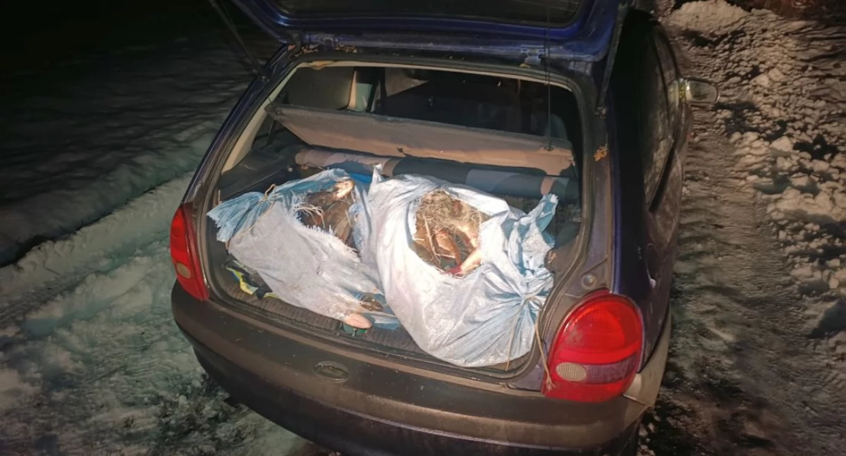 Gopło w nocy. Pościg w Racicach i 100 kg ryb w oplu