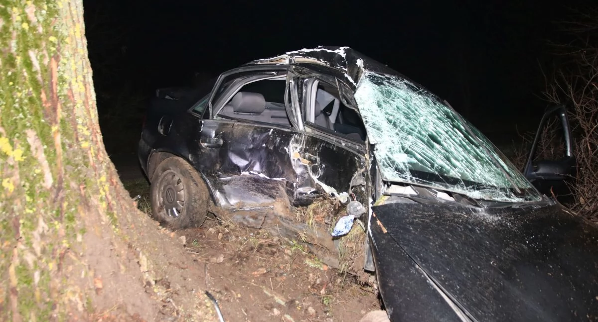 Droga Złotowo–Brześć. Audi uderzyło w drzewo, zginął 20-latek