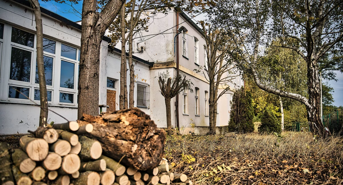 Bal Domu Niebieskich TuliPanów. Aukcja dla centrum w Fordonie