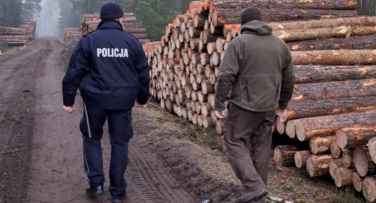 Gmina Dąbrowa Chełmińska: kontrole lasów. Policja i Straż Leśna