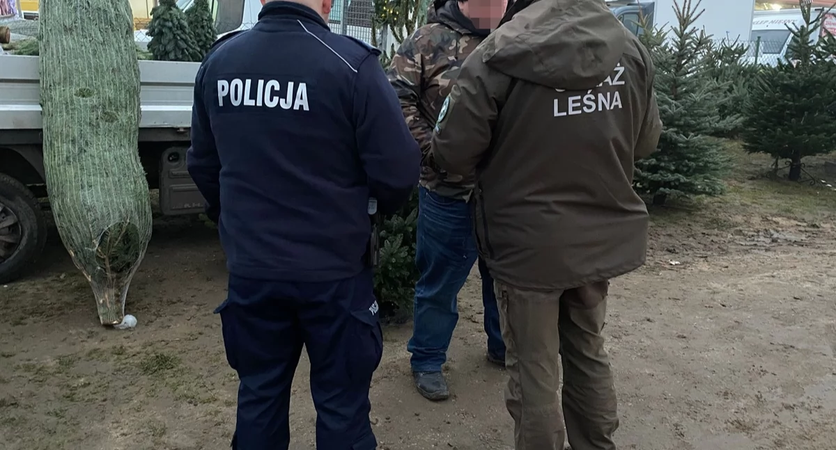 Kontrole sprzedaży choinek. Policja w Rypinie sprawdza dokumenty