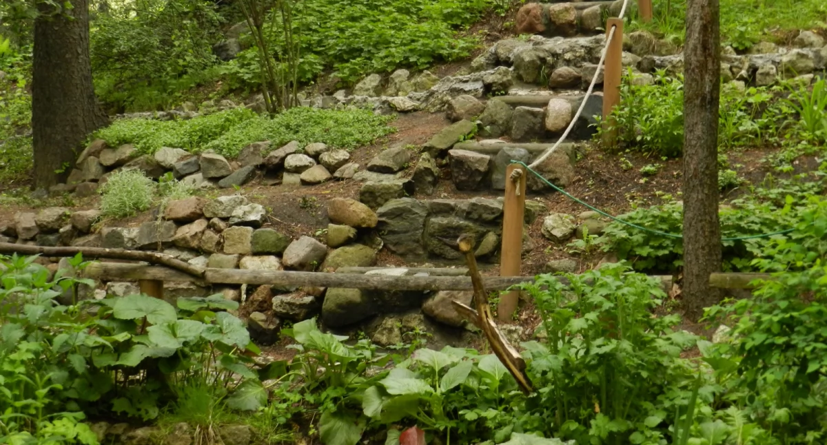 Ogród Botaniczny UKW: strumień wraca dzięki BBO
