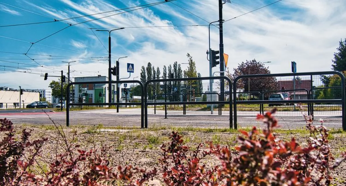 Rozbudowa ul. Toruńskiej: 400 drzew, rok prac do Stomilu
