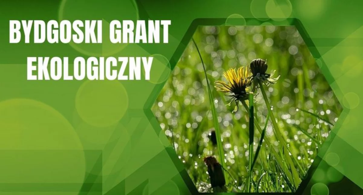 Bydgoskie Granty Ekologiczne 2026: 48 projektów, 96 tys. zł