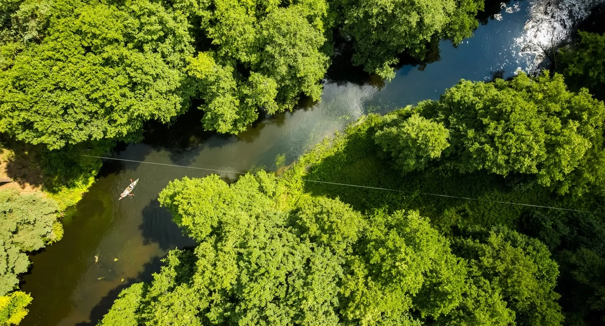 29,5 mln zł na parki krajobrazowe w Kujawsko-Pomorskiem w 2026
