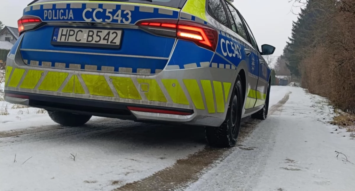 Cztery psy, zamknięte drzwi i okno. Policja w Chełmnie zdążyła