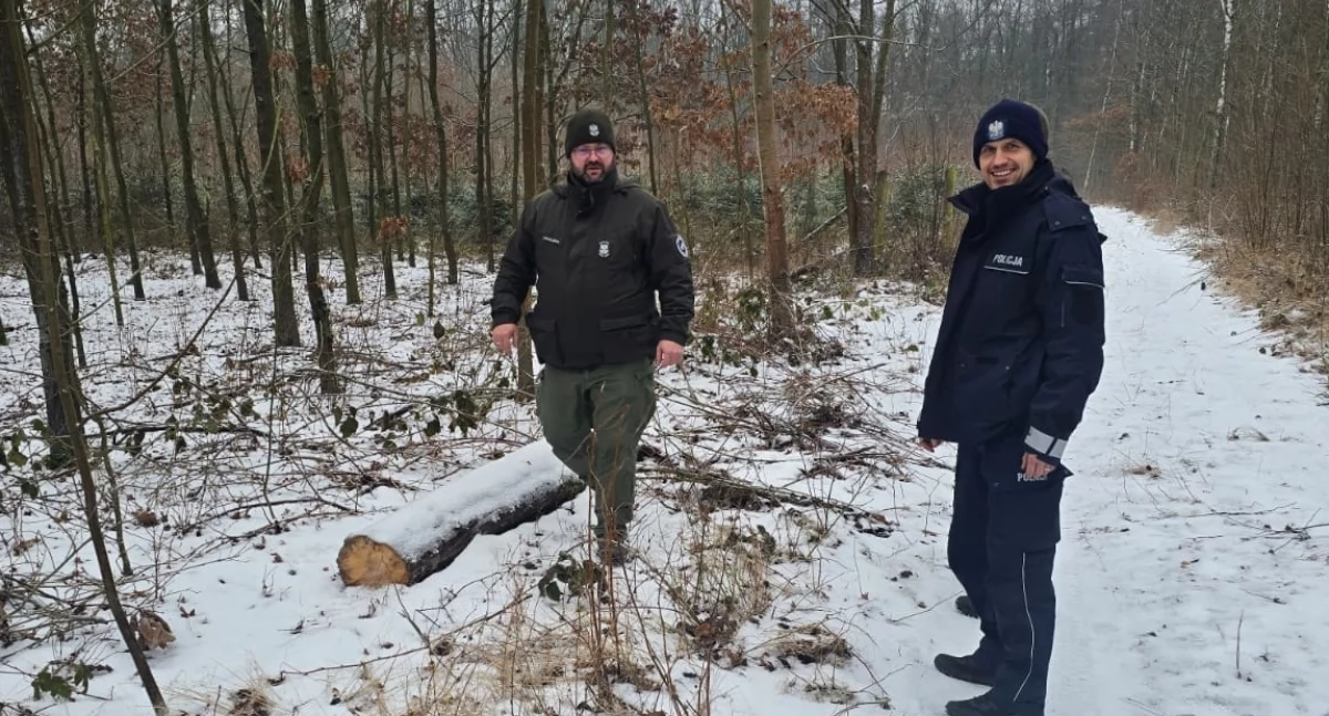 Policja i Straż Leśna w Mogilnie: wspólne patrole w lasach