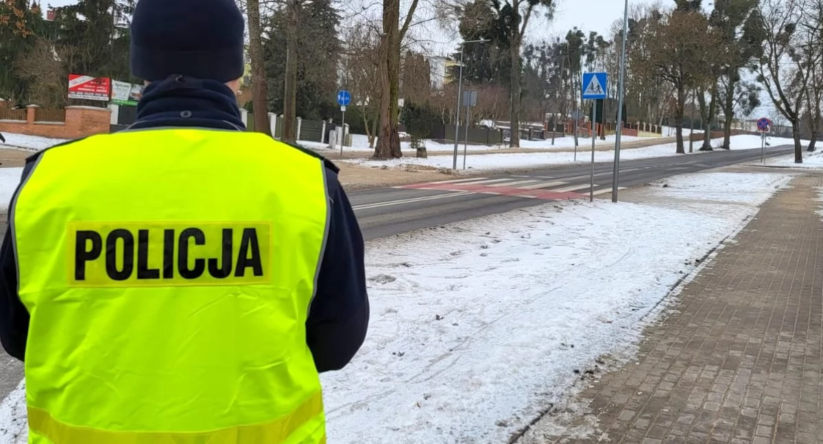 „Bezpieczny pieszy” w regionie: 216 wykroczeń kierowców, 353 pieszych
