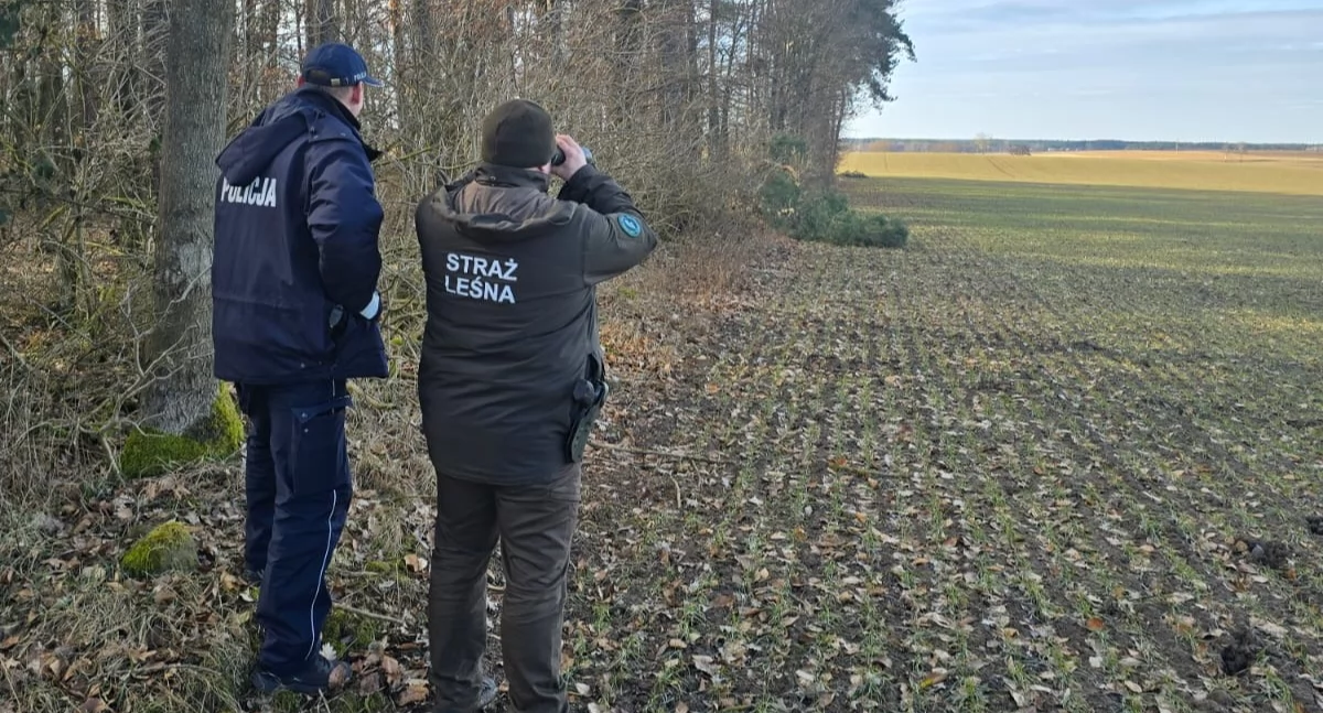 Akcja Wieniec w Mogilnie. Patrole w lasach i kontrole skupu