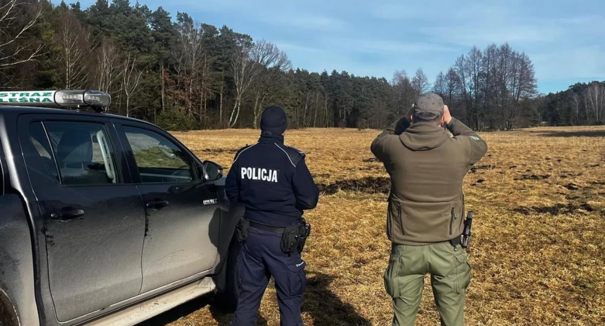 Wieniec 2026: policja i leśnicy łączą siły przeciw kłusownikom