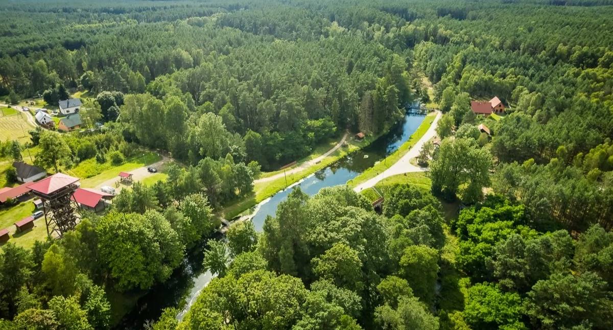 Tucholski Park Krajobrazowy w Pile: konferencja 12 marca