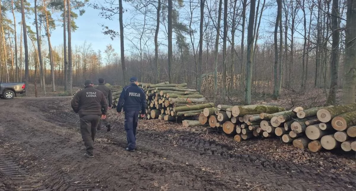 Patrole w lasach Mogilna z Policją i Strażą Leśną