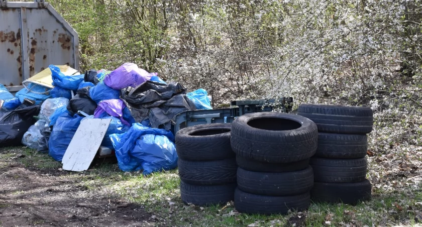 Sprzątanie Kapuścisk w Bydgoszczy 21 marca. Zbiórka przy V LO