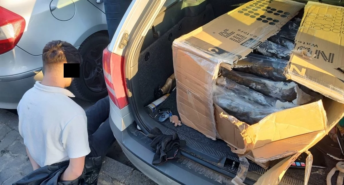 Narkotyki w Bydgoszczy: 11,5 kg marihuany i 797 tys. zł