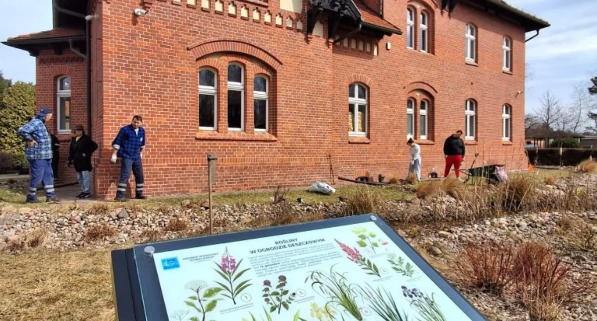 Ogród deszczowy Bydgoszcz. Nowe rośliny przy Hali Pomp