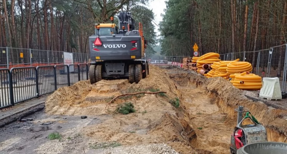 Las Gdański w Bydgoszczy: 200 m Rekreacyjnej zamknięte do końca miesiąca