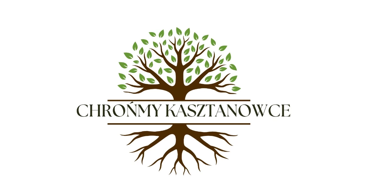 Solec Kujawski rozdaje pułapki feromonowe na kasztanowce