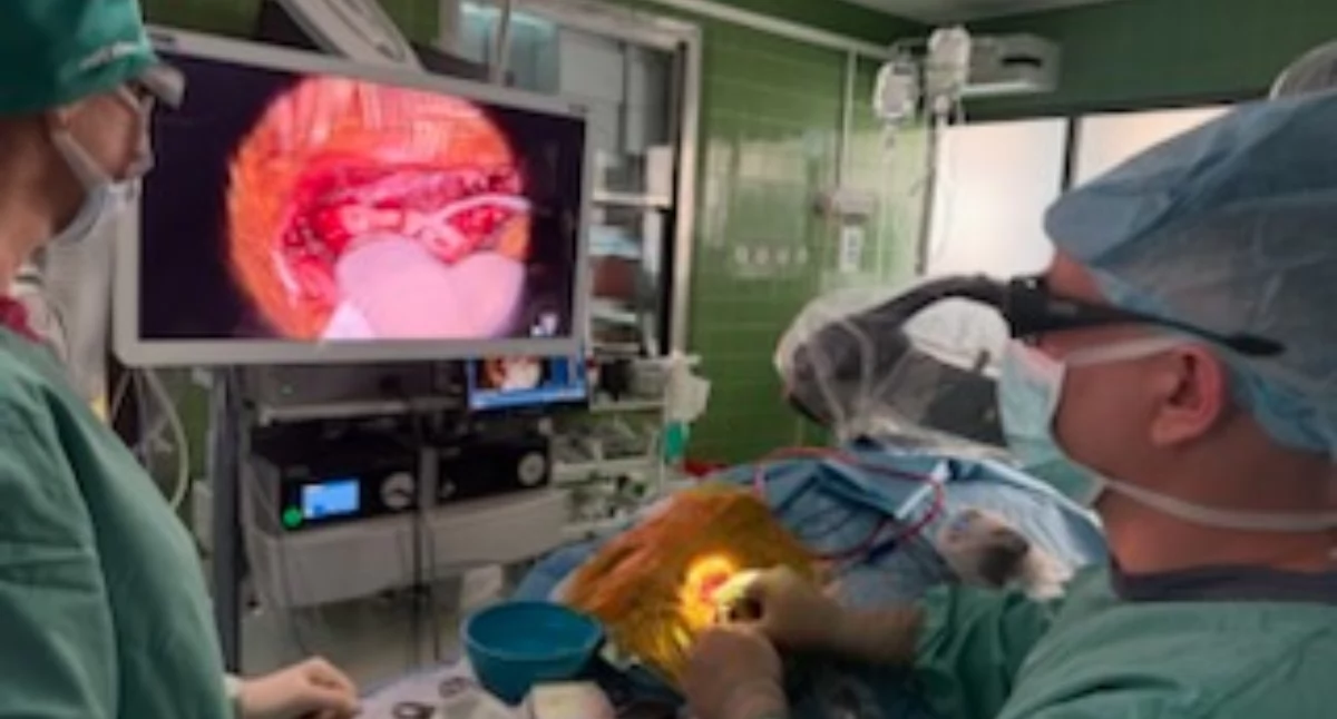 Bydgoszcz. Pierwsza w Polsce implantacja ślimakowa 3D
