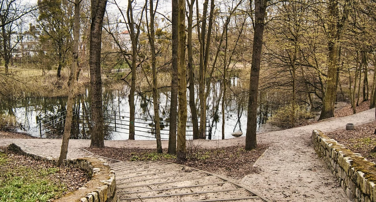 Osowa Góra: miasto szykuje bagrowanie dwóch stawów