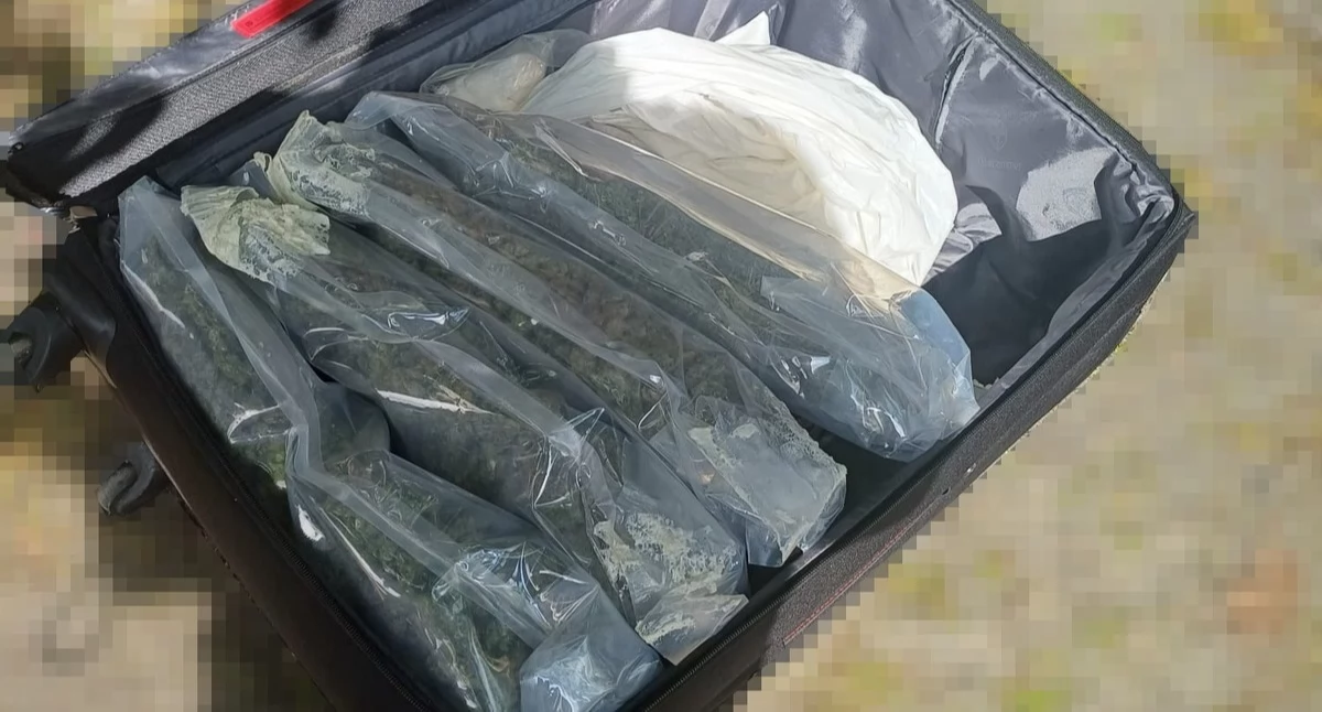 Toruń: prawie 11 kg narkotyków. Dwaj zatrzymani w areszcie
