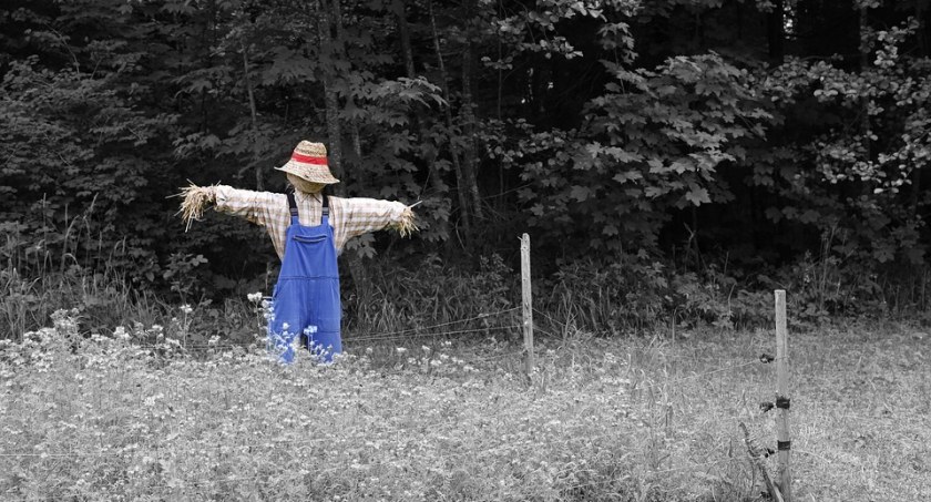 Strachy na wróble opanują gminę Chojnice podczas Nocy Muzeów
