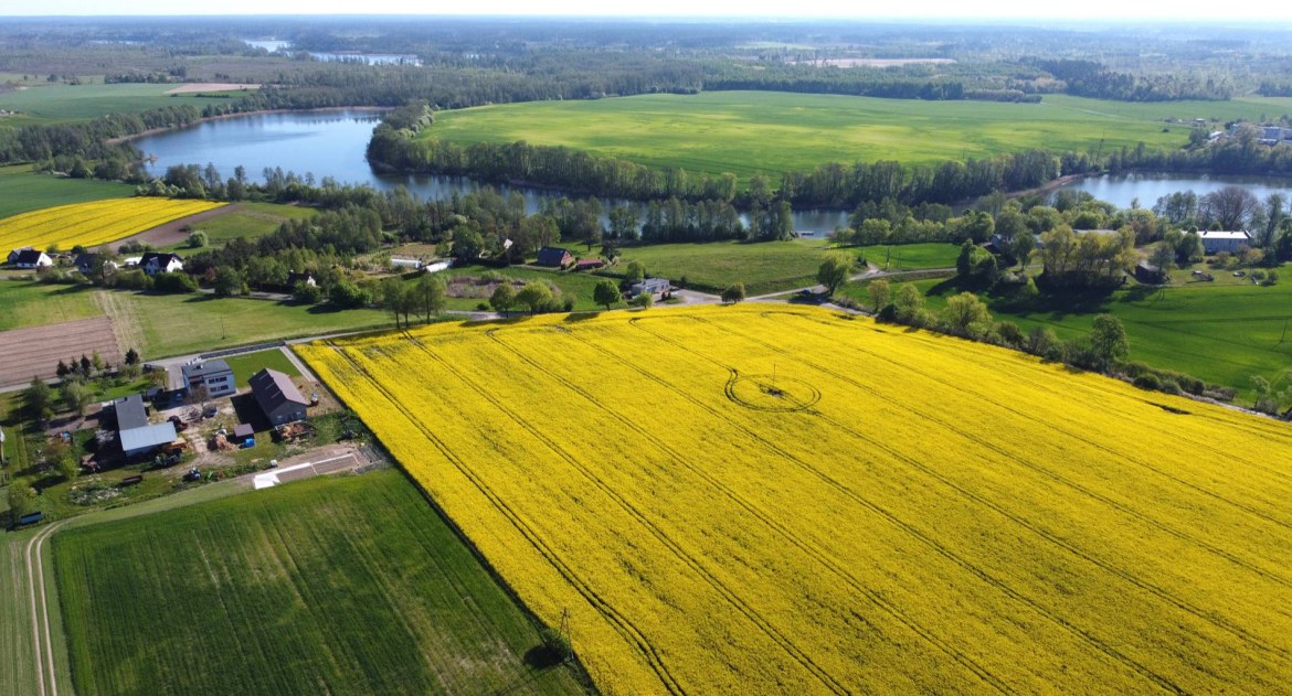Kwitną rzepaki, czas ruszać robić zdjęcia