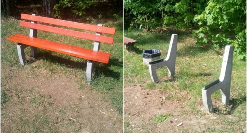 Ktoś zabrał deski z ławek w Lasku Miejskim