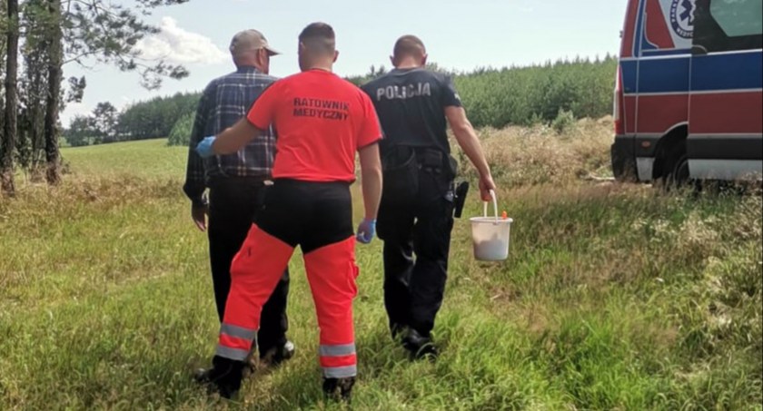 85-letni grzybiarz upadł w lesie i nie mógł wstać