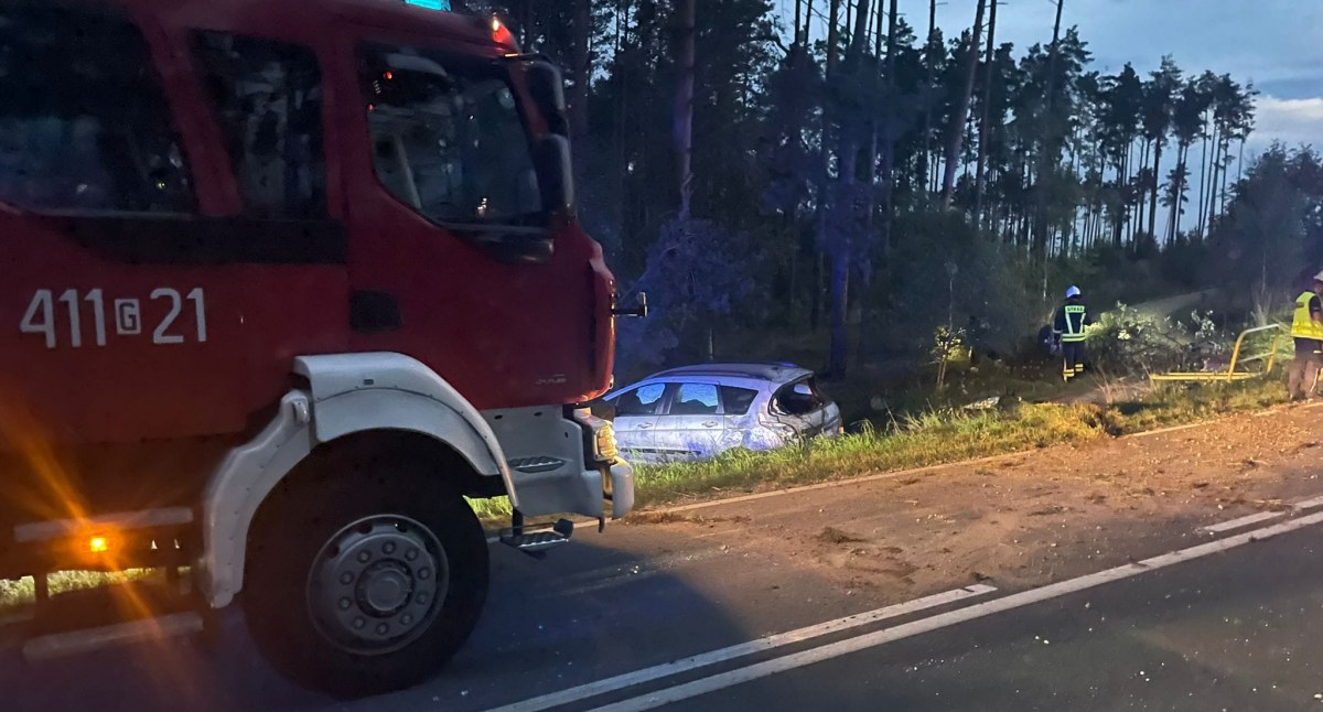 Osobówka wypadła z jezdni niedaleko Turowca