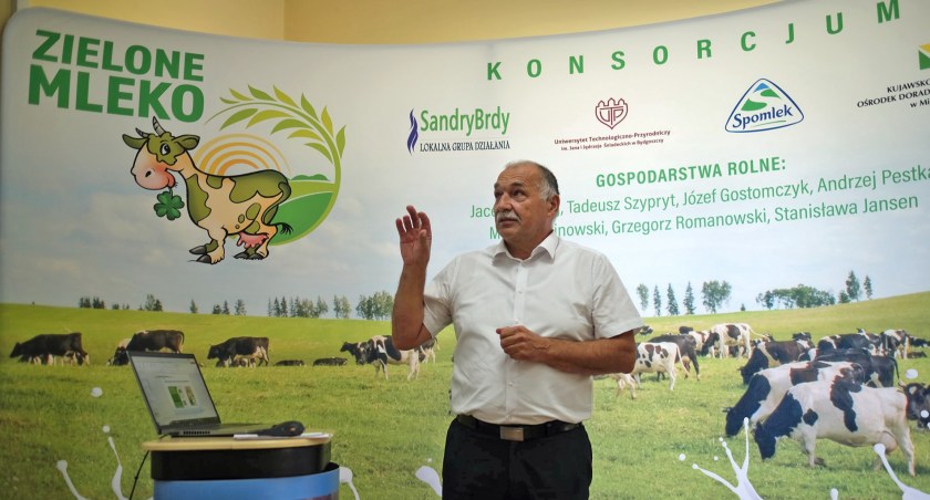 Szczęśliwe krowy pasące się na pastwisku dają Zielone Mleko