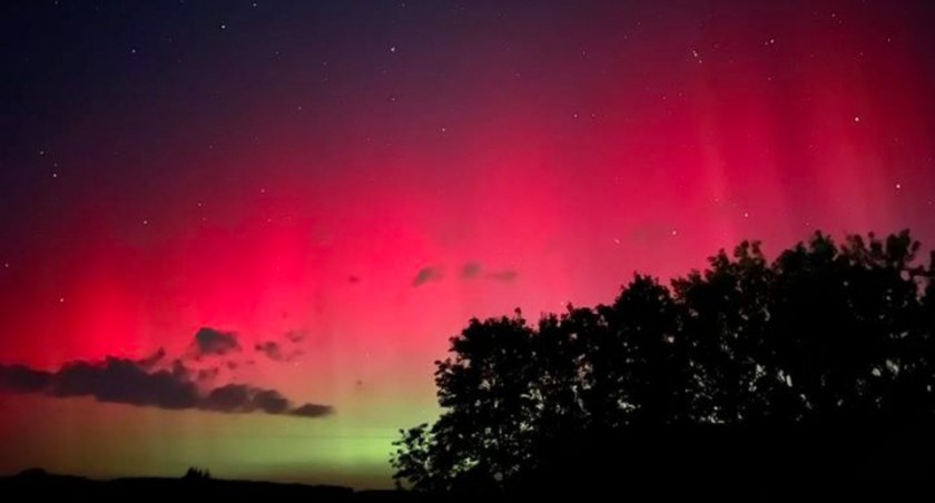 Niebo nad Chojnicami: przelot Starlinków i coraz częstsze zorze