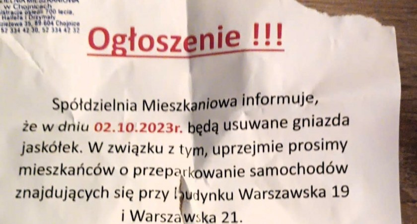 Spółdzielnia Mieszkaniowa chciała usuwać gniazda ptaków. Mieszkańcy zaprotestowali