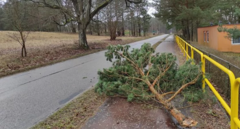 Instytut Meteorologii i Gospodarki Wodnej znowu prognozuje u nas silny wiatr