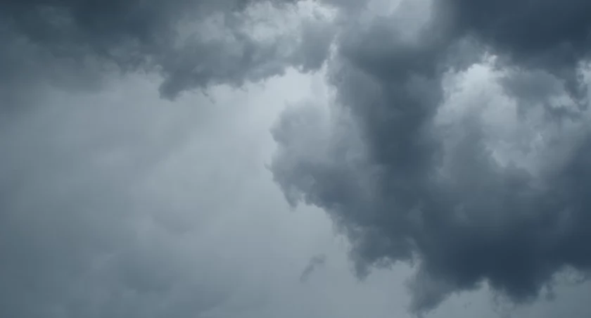To ostatnia tak ciepła sobota. Idziemy do lasu!