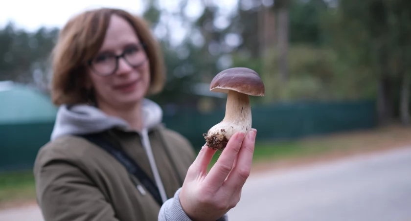 Jeszcze są prawdziwki. Spotkanie z fitoterapeutą w Funce
